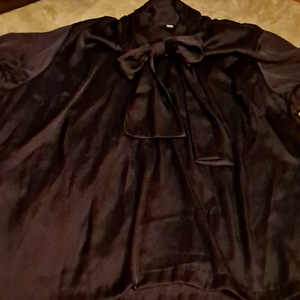 Short sleeved silky sheer blouse